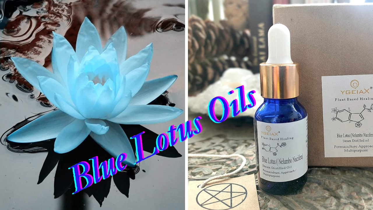 Blue Lotus Oil, you can enjoy beautiful, healthy skin.